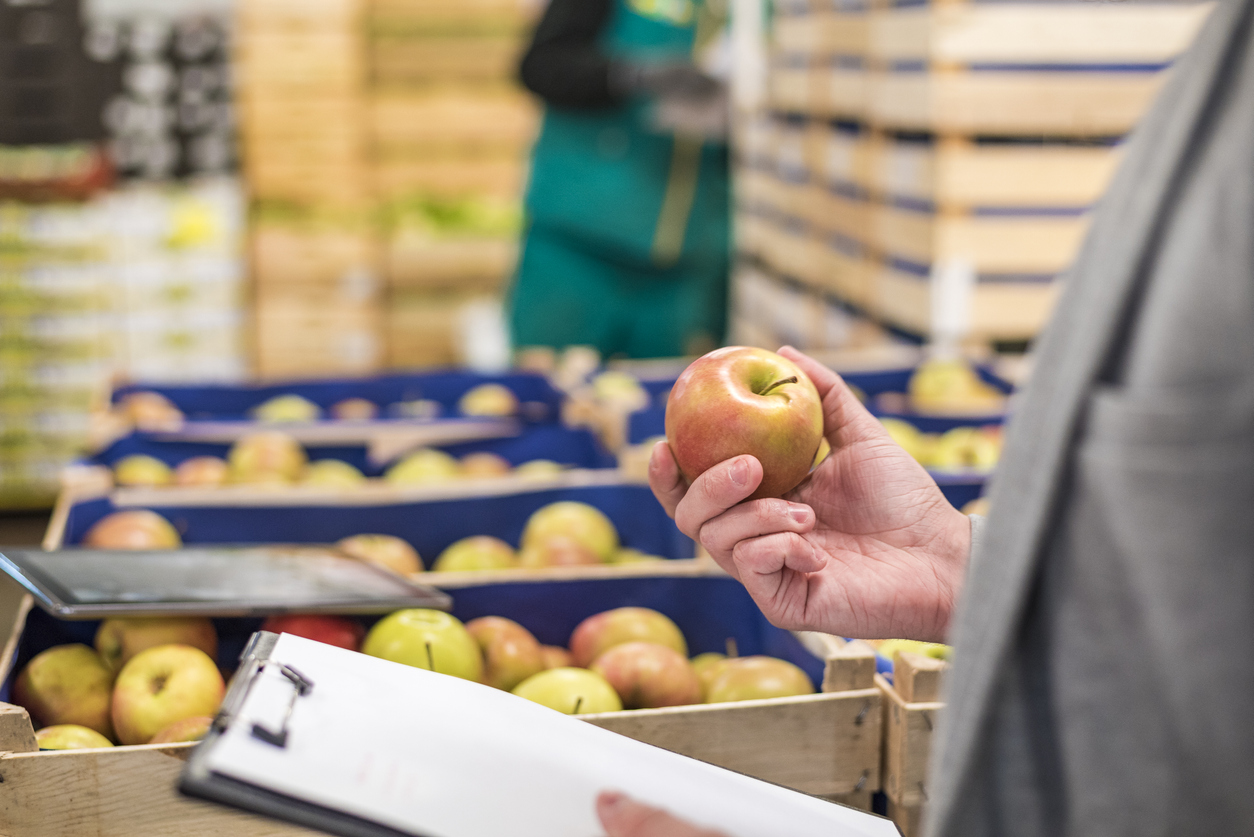 Técnicas de Inspección Aplicada a Fruta Fresca de Exportación